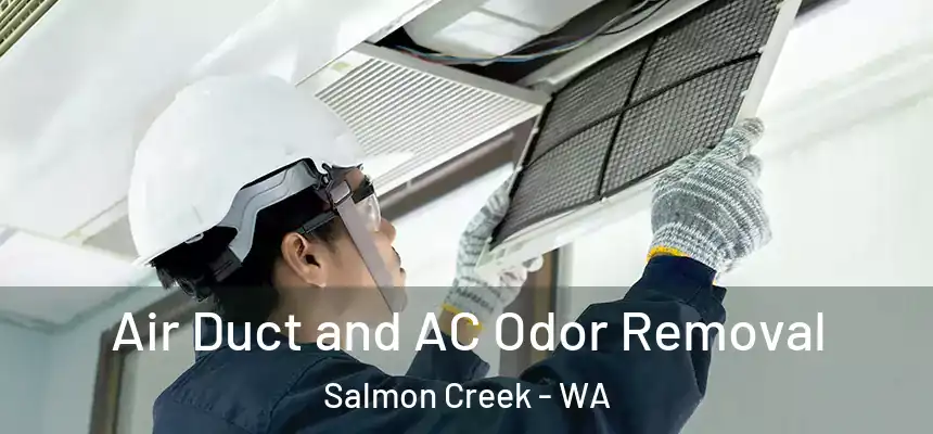  Air Duct and AC Odor Removal Salmon Creek - WA