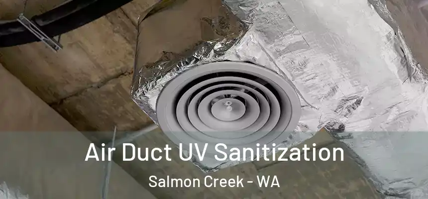  Air Duct UV Sanitization Salmon Creek - WA