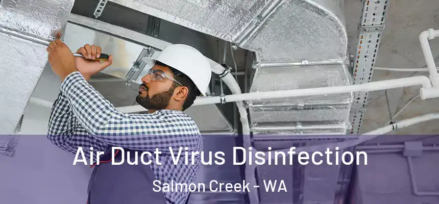  Air Duct Virus Disinfection Salmon Creek - WA
