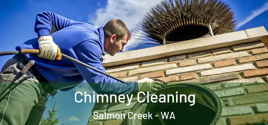  Chimney Cleaning Salmon Creek - WA