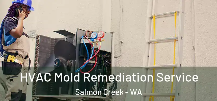 HVAC Mold Remediation Service Salmon Creek - WA