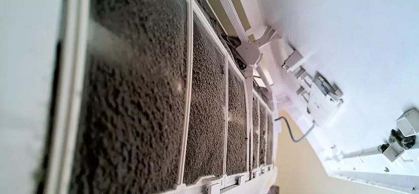 Preventive Air Duct Bacteria Removal in Salmon Creek