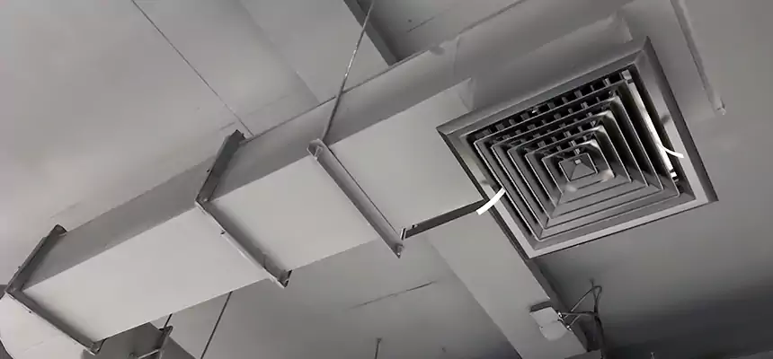 Our Pest Removal From Ducts Services in Salmon Creek, WA