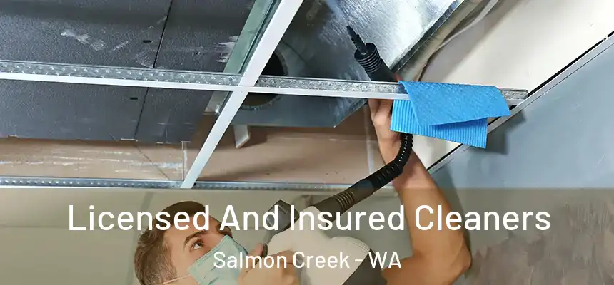  Licensed And Insured Cleaners Salmon Creek - WA