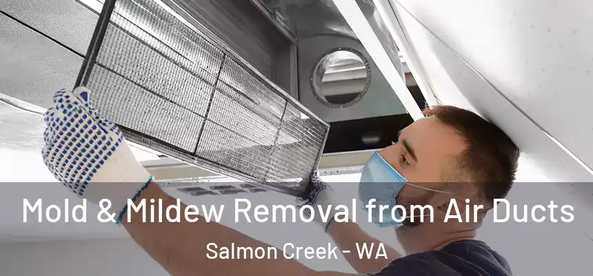  Mold & Mildew Removal from Air Ducts Salmon Creek - WA