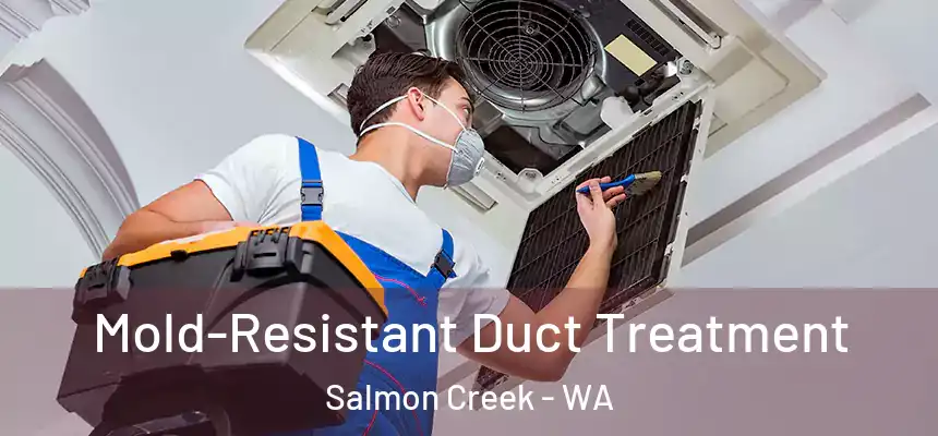  Mold-Resistant Duct Treatment Salmon Creek - WA