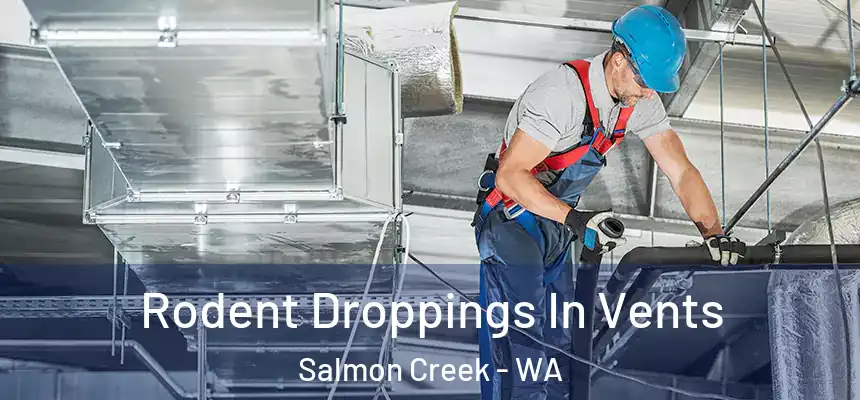 Rodent Droppings In Vents Salmon Creek - WA