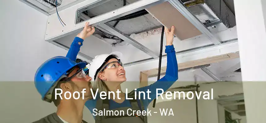 Roof Vent Lint Removal Salmon Creek - WA