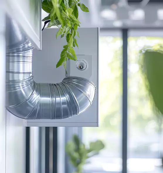 Professional Eco-Friendly Duct Cleaning Services in Salmon Creek, WA