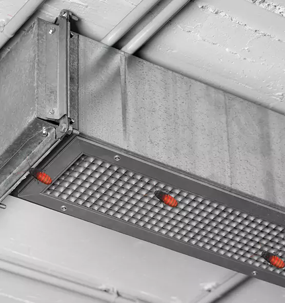 Affordable Insect Removal from Air Ducts in Salmon Creek, WA