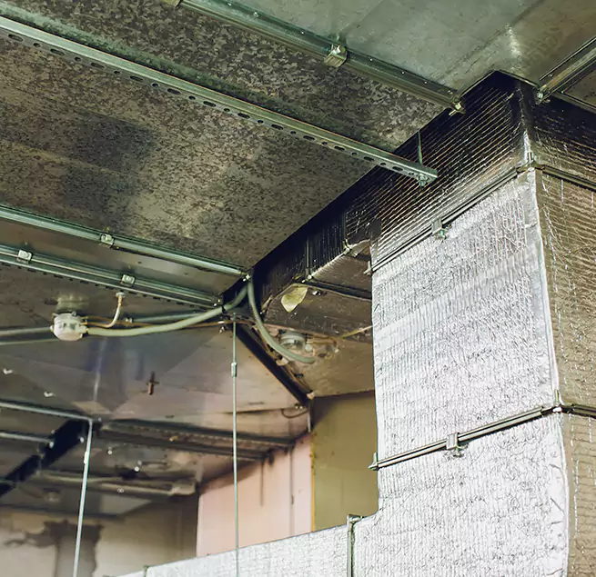 Why Homeowners & Businesses Trust Us in Salmon Creek, WA?