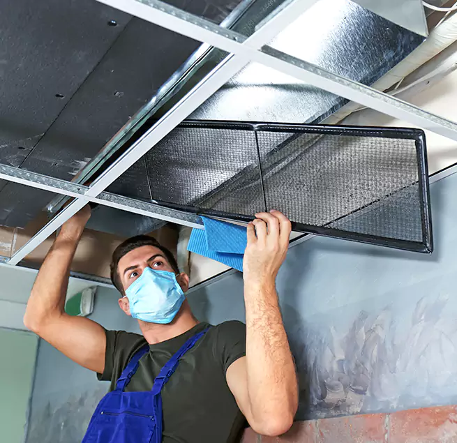 Why Homeowners Businesses Trust Us in Salmon Creek, WA?