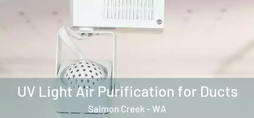  UV Light Air Purification for Ducts Salmon Creek - WA
