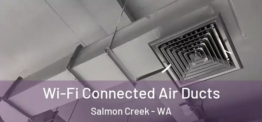 Wi-Fi Connected Air Ducts Salmon Creek - WA